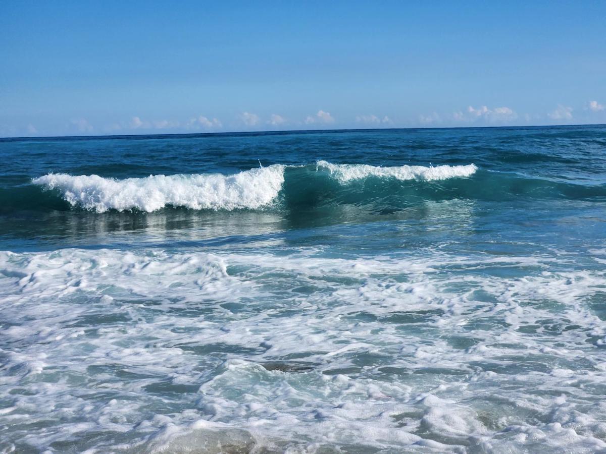 Beachfront Apartment, Quiet 4 Beds, 1 Bath, Ac, Wi-Fi, Hot Water, In Paraiso Near Los Patos Eksteriør bilde