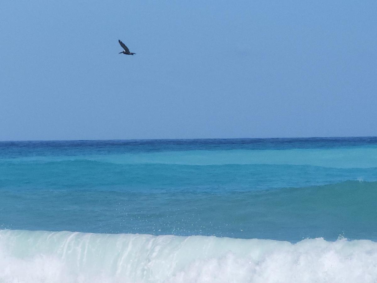 Beachfront Apartment, Quiet 4 Beds, 1 Bath, Ac, Wi-Fi, Hot Water, In Paraiso Near Los Patos Eksteriør bilde