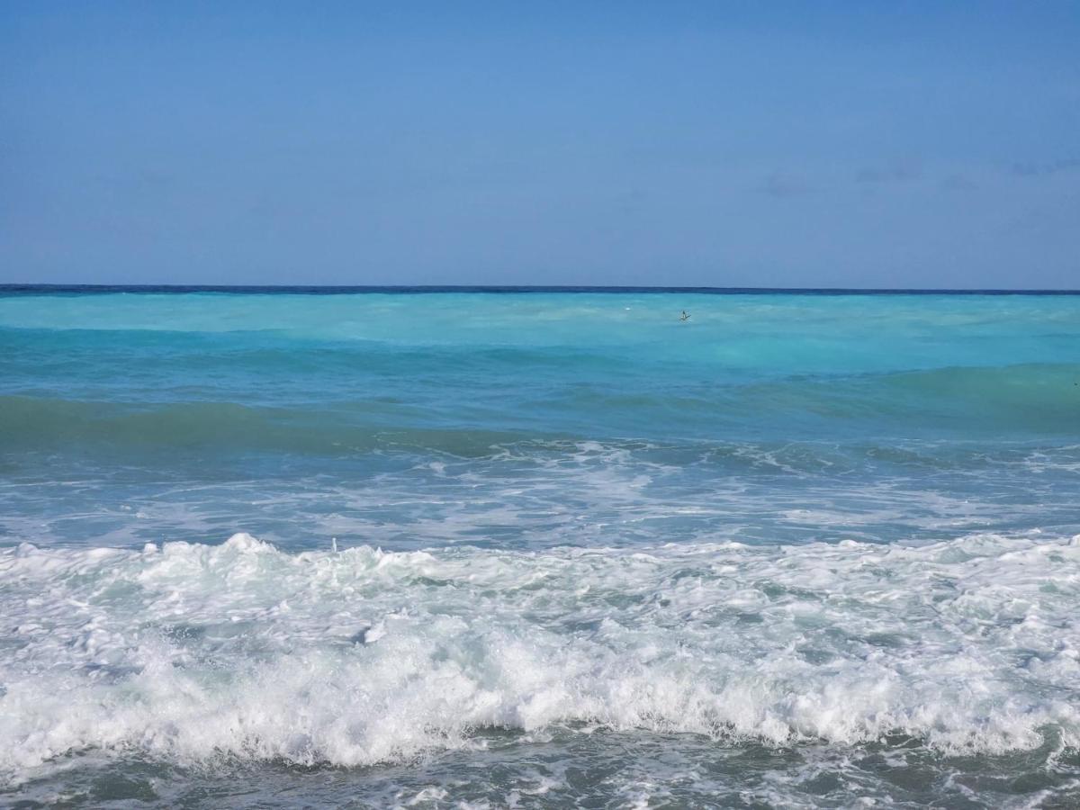 Beachfront Apartment, Quiet 4 Beds, 1 Bath, Ac, Wi-Fi, Hot Water, In Paraiso Near Los Patos Eksteriør bilde